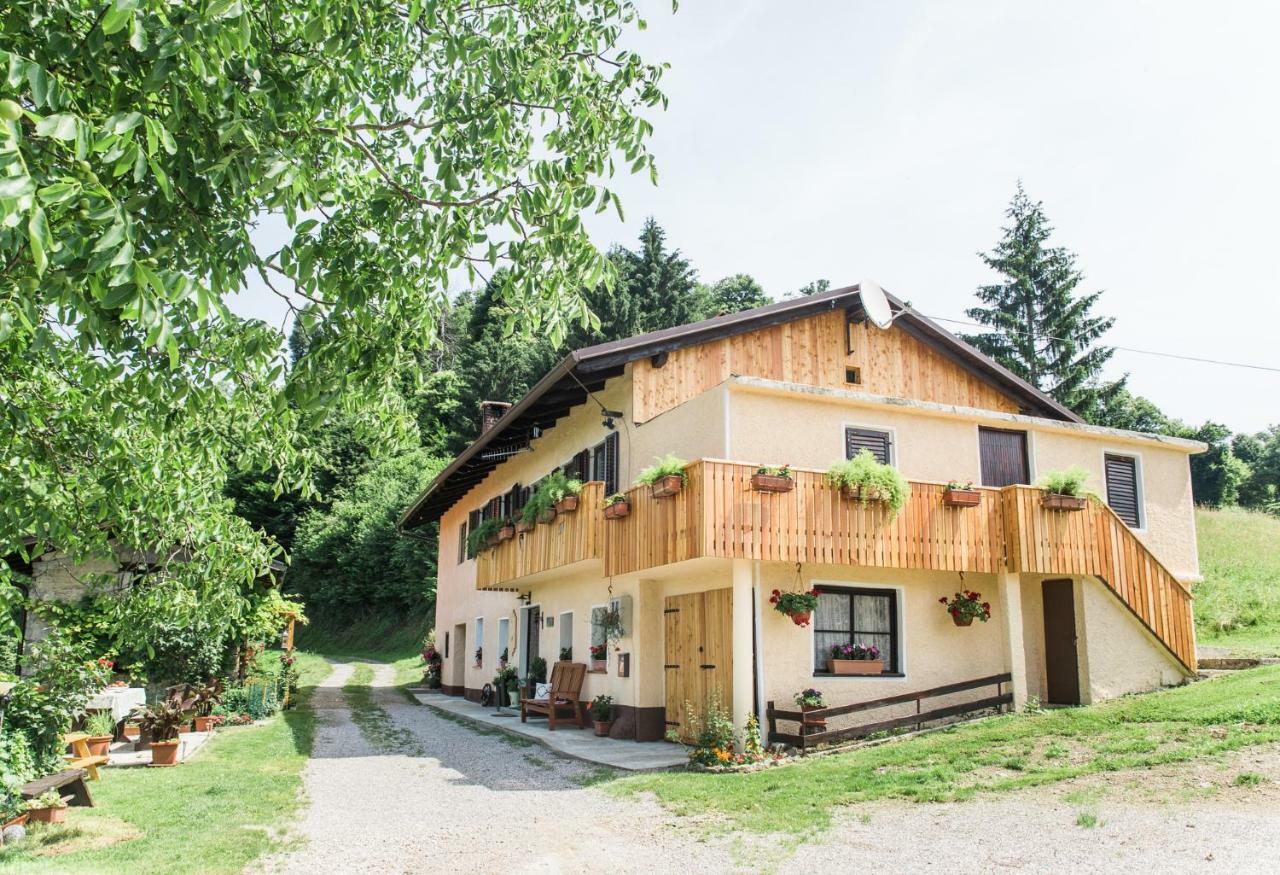 Pocitniska Hisa Pologar Guest House Tolmin Exterior photo